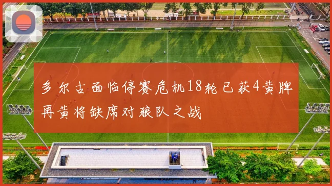 多尔古面临停赛危机18轮已获4黄牌再黄将缺席对狼队之战