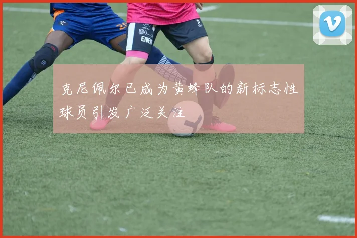 克尼佩尔已成为黄蜂队的新标志性球员引发广泛关注