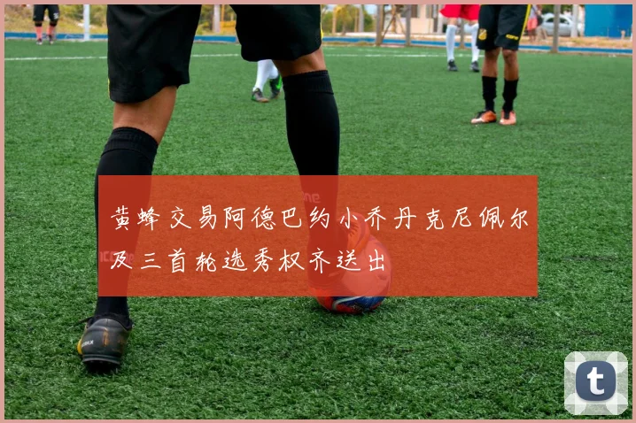 黄蜂交易阿德巴约小乔丹克尼佩尔及三首轮选秀权齐送出