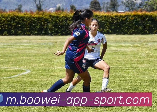 宝威体育平台生态图