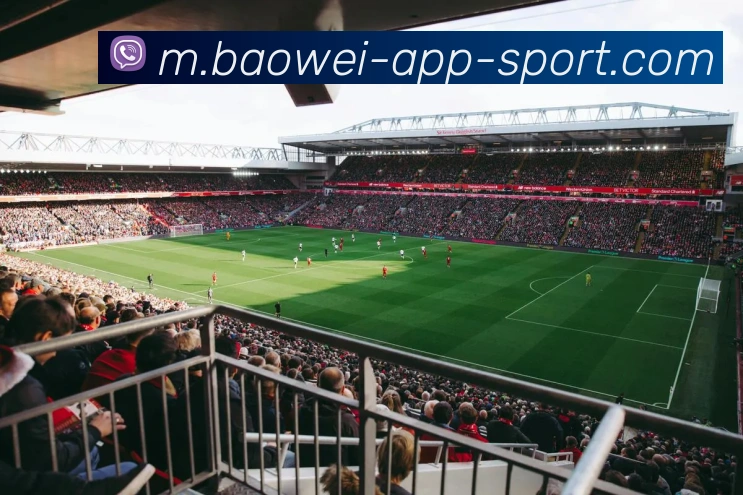 宝威体育全站App